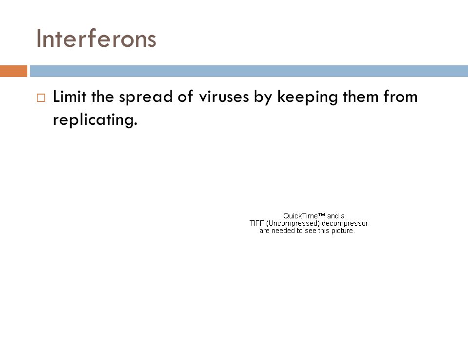 Interferons Limit the spread of viruses by keeping them from replicating.