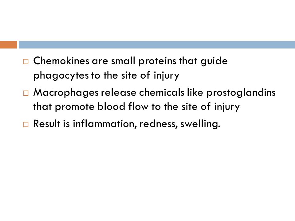 Chemokines are small proteins that guide phagocytes to the site of injury