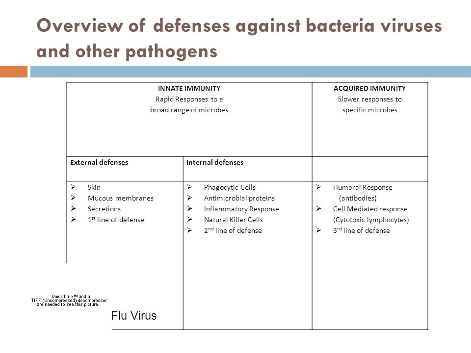 Overview of defenses against bacteria viruses and other pathogens