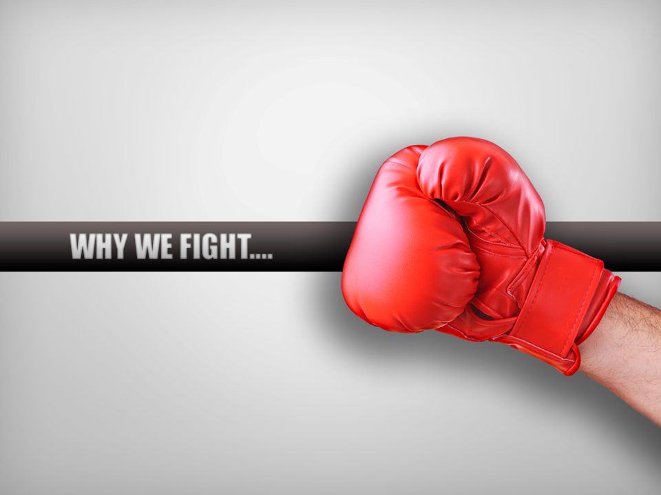 WHY WE FIGHT….