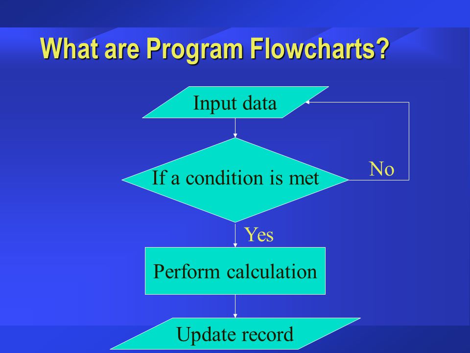 What are Program Flowcharts