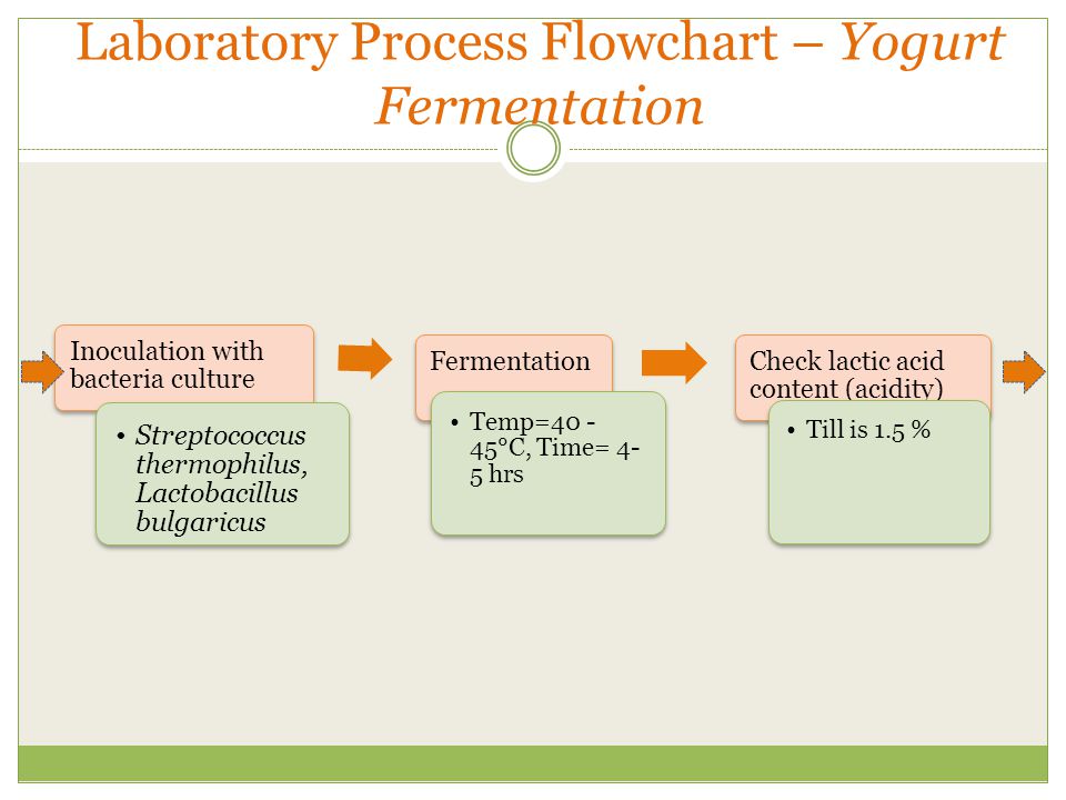 Yogurt Processing Flow Chart