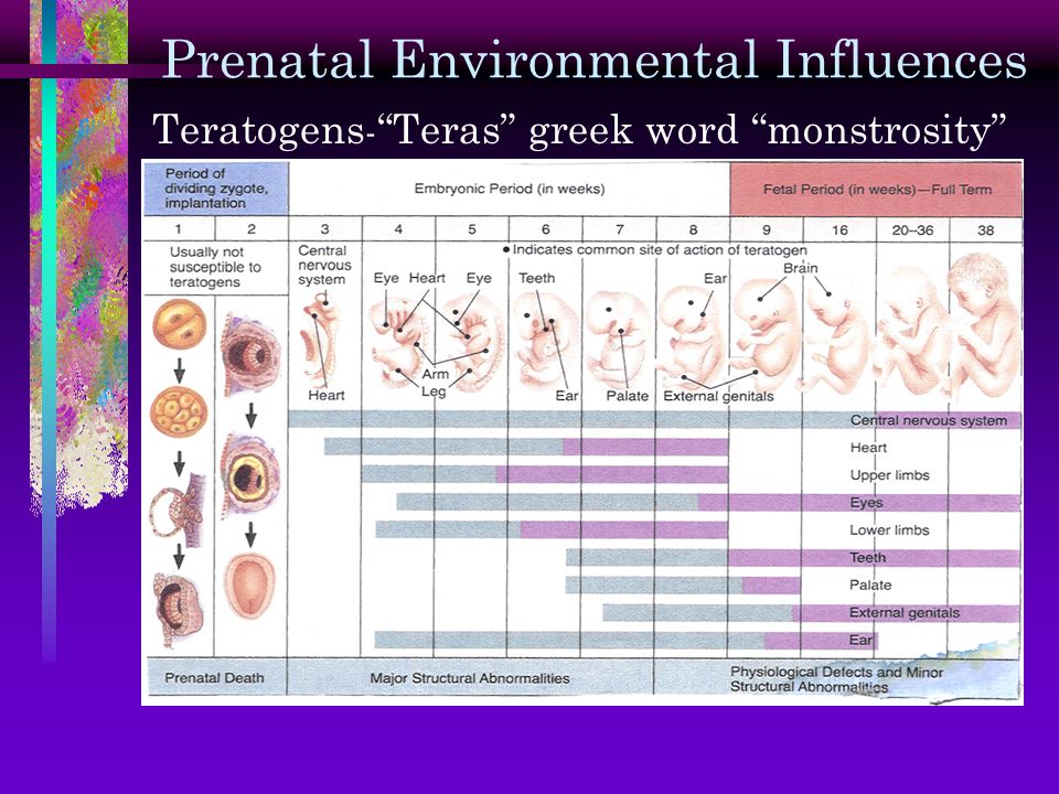 Prenatal Environmental Influences