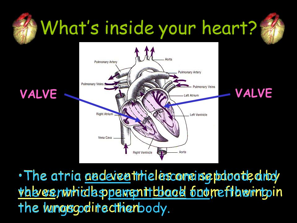 What’s inside your heart