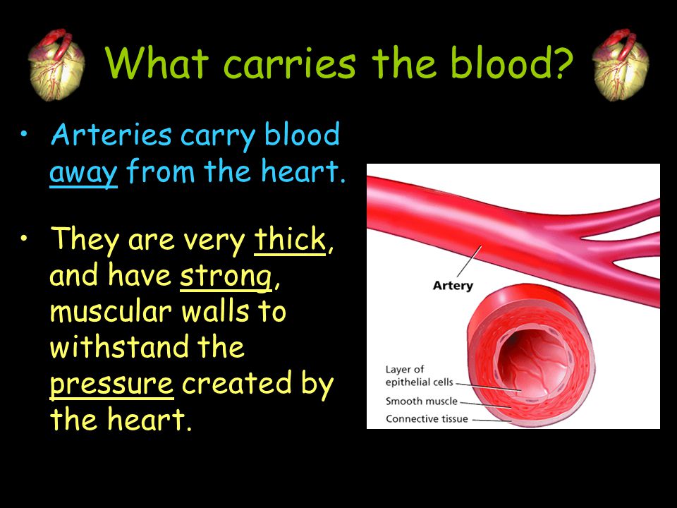 What carries the blood Arteries carry blood away from the heart.