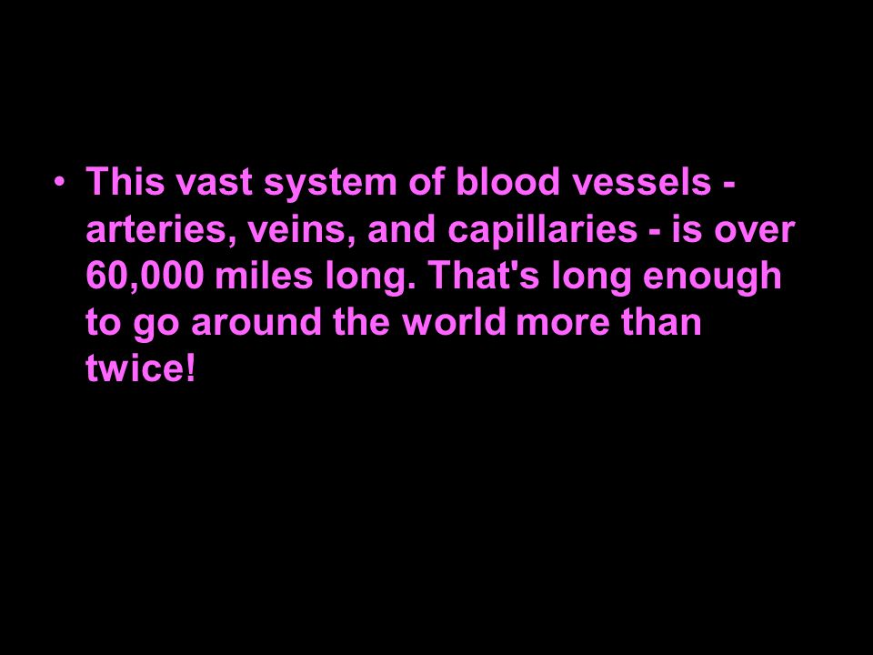 This vast system of blood vessels - arteries, veins, and capillaries - is over 60,000 miles long.