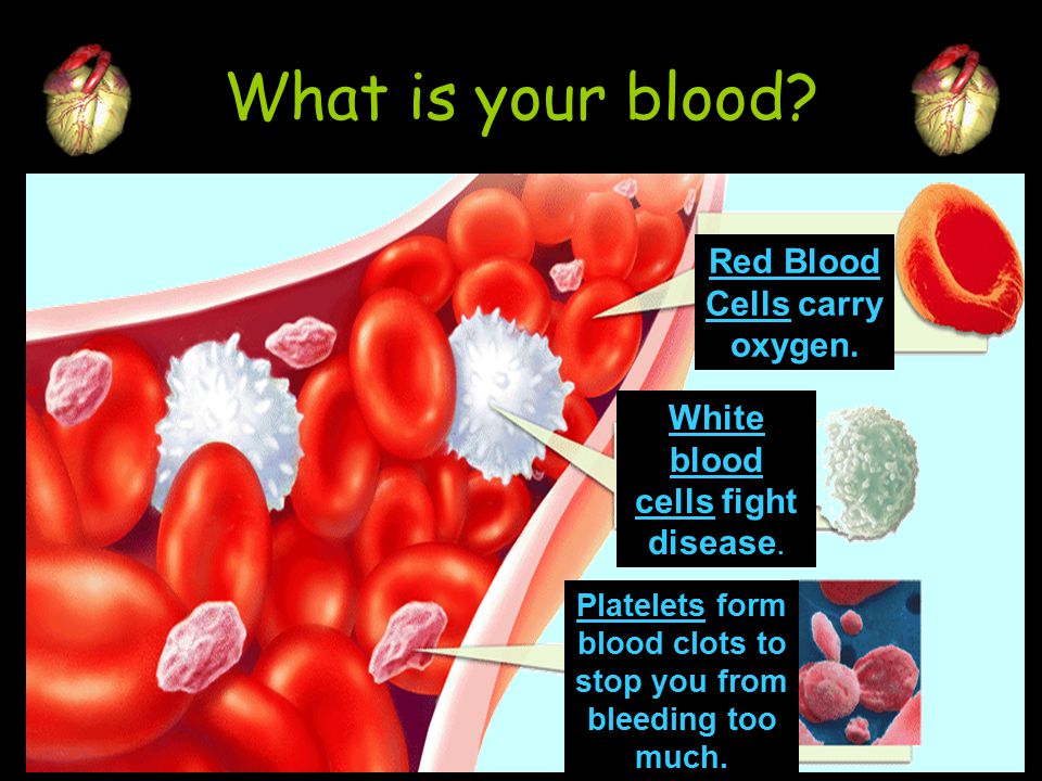 What is your blood Red Blood Cells carry oxygen.