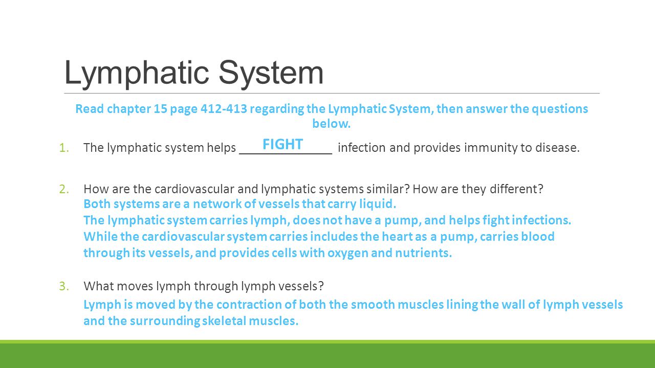 Lymphatic System FIGHT