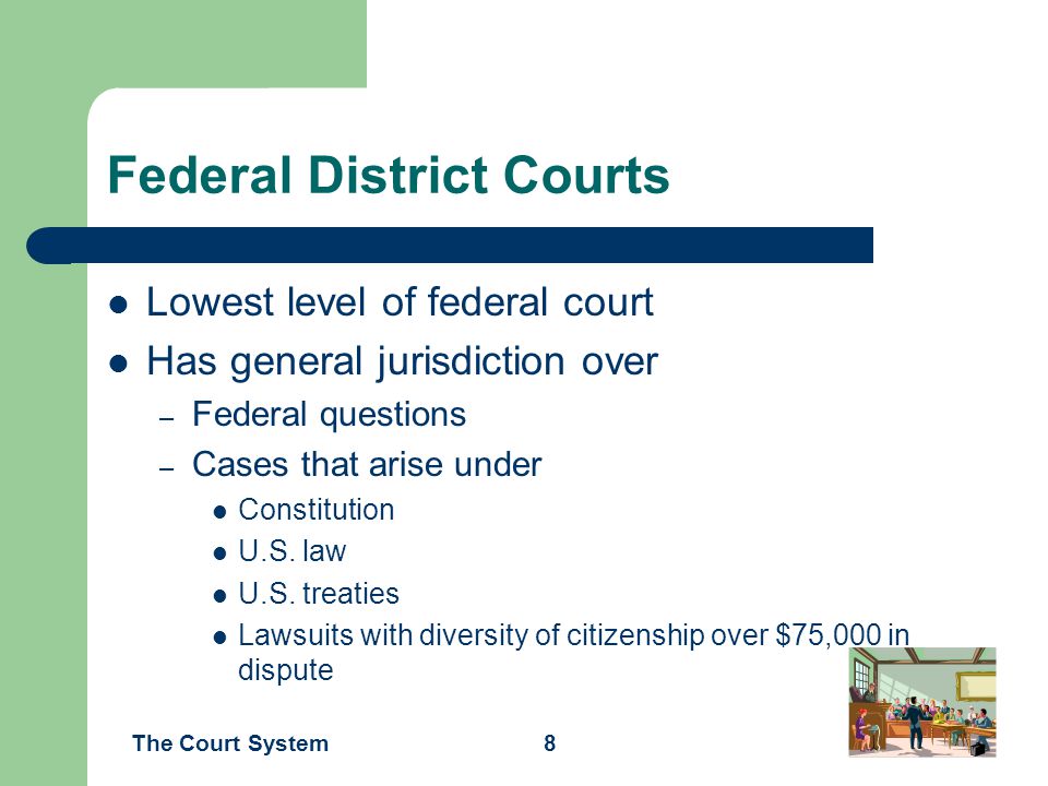 Federal District Courts