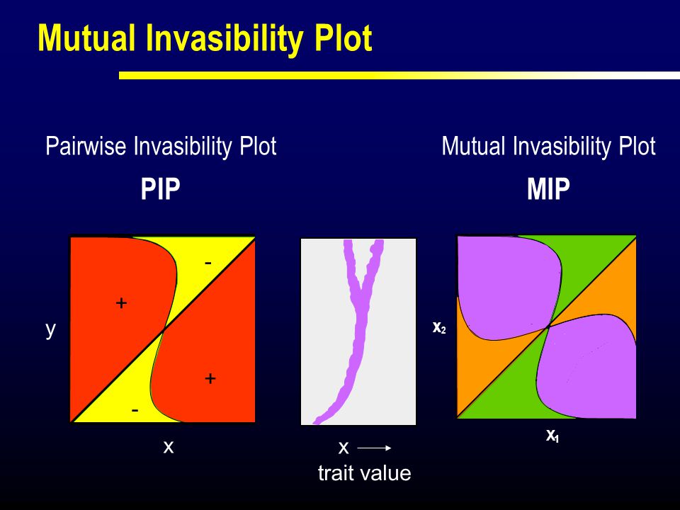 Mutual Invasibility Plot