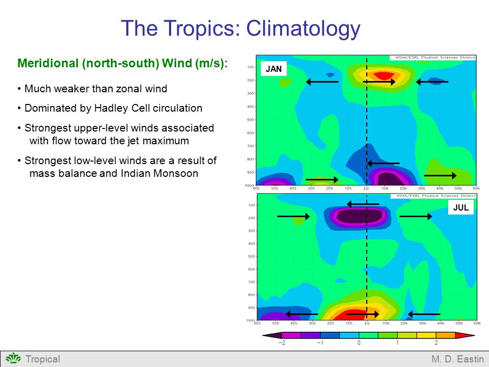 The Tropics: Climatology