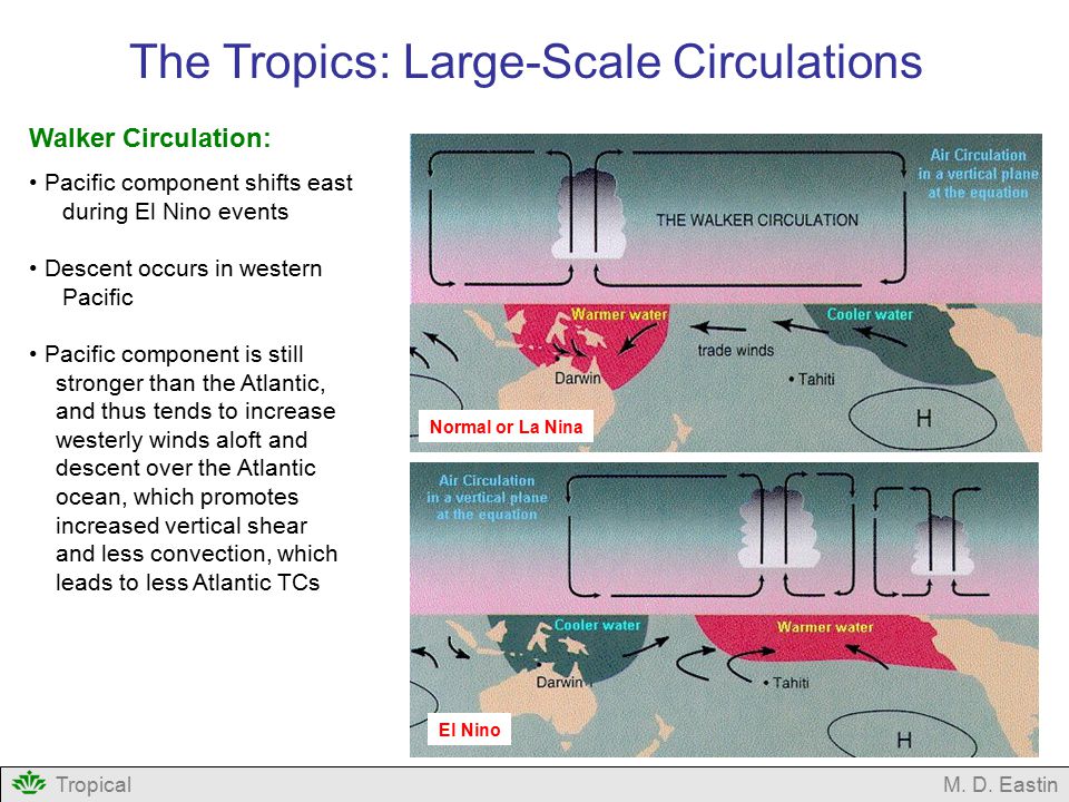 The Tropics: Large-Scale Circulations