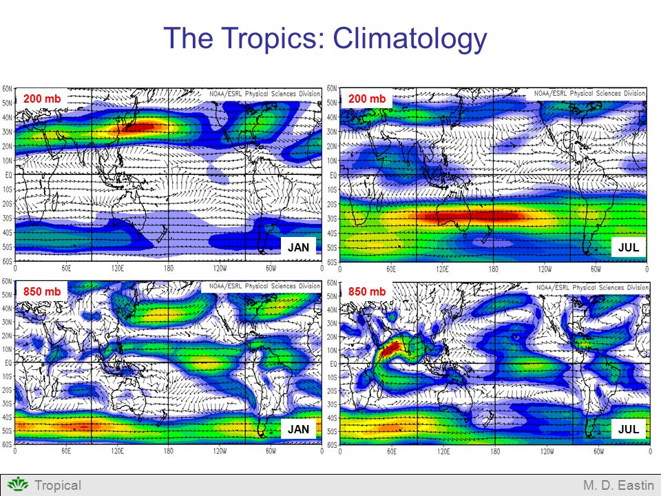 The Tropics: Climatology