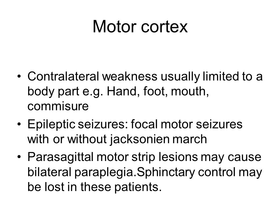 Motor cortex Contralateral weakness usually limited to a body part e.g. Hand, foot, mouth, commisure.