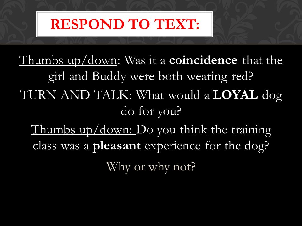 Respond to text:
