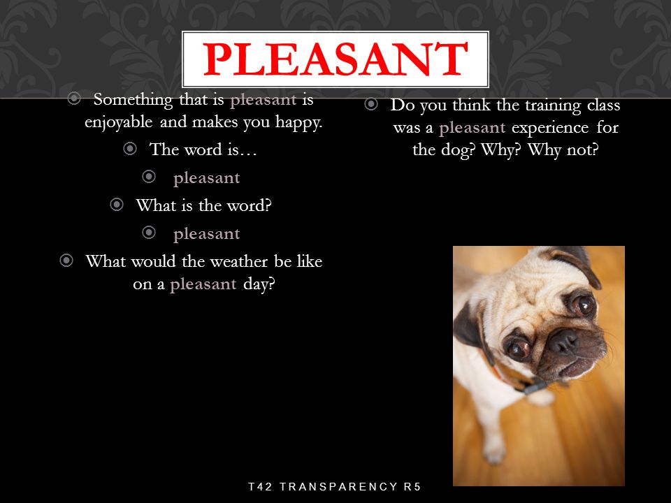 pleasant Something that is pleasant is enjoyable and makes you happy.