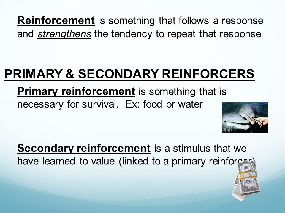 PRIMARY & SECONDARY REINFORCERS