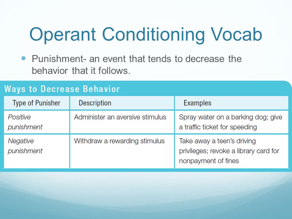 Operant Conditioning Vocab