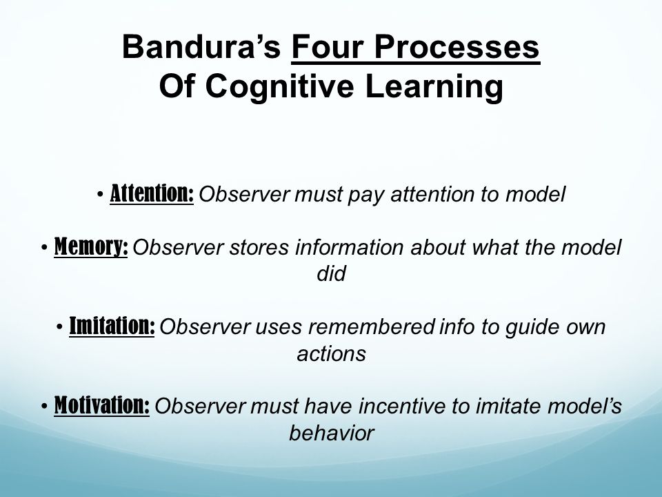 Bandura’s Four Processes