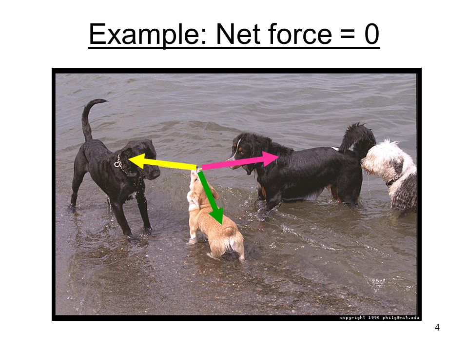 Example: Net force = 0
