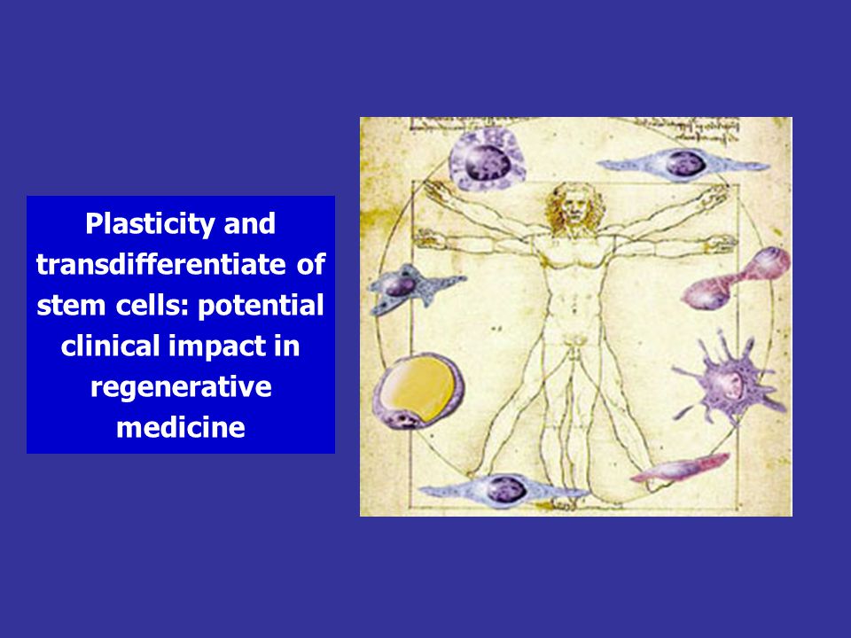 Plasticity and transdifferentiate of stem cells: potential clinical impact in regenerative medicine