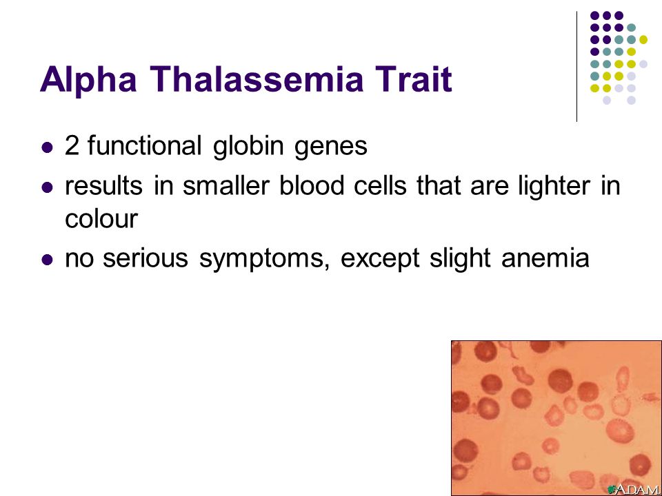 Alpha-thalassemia: Video, Anatomy & Definition