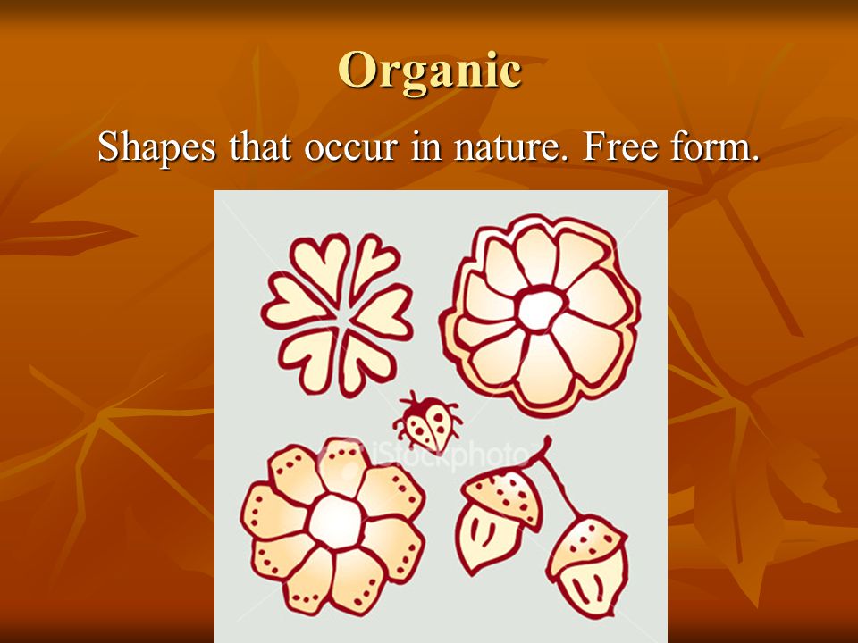 Shapes that occur in nature. Free form.