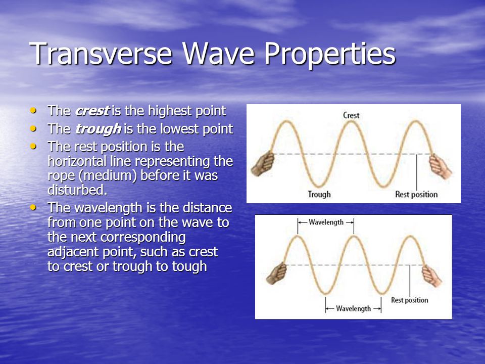 Transverse Wave Properties