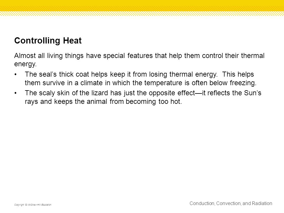 Controlling Heat Almost all living things have special features that help them control their thermal energy.