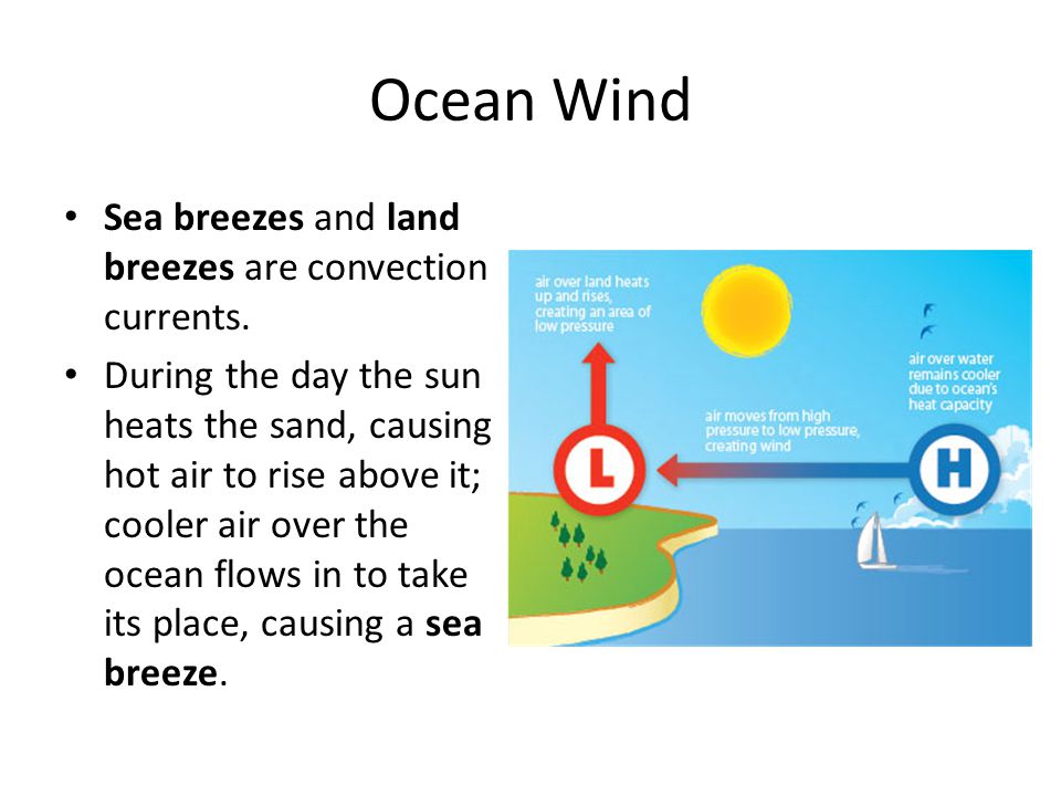 Ocean Wind Sea breezes and land breezes are convection currents.
