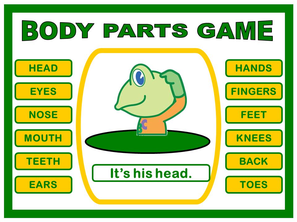 BODY PARTS GAME It’s his head. HEAD HANDS EYES FINGERS NOSE FEET MOUTH