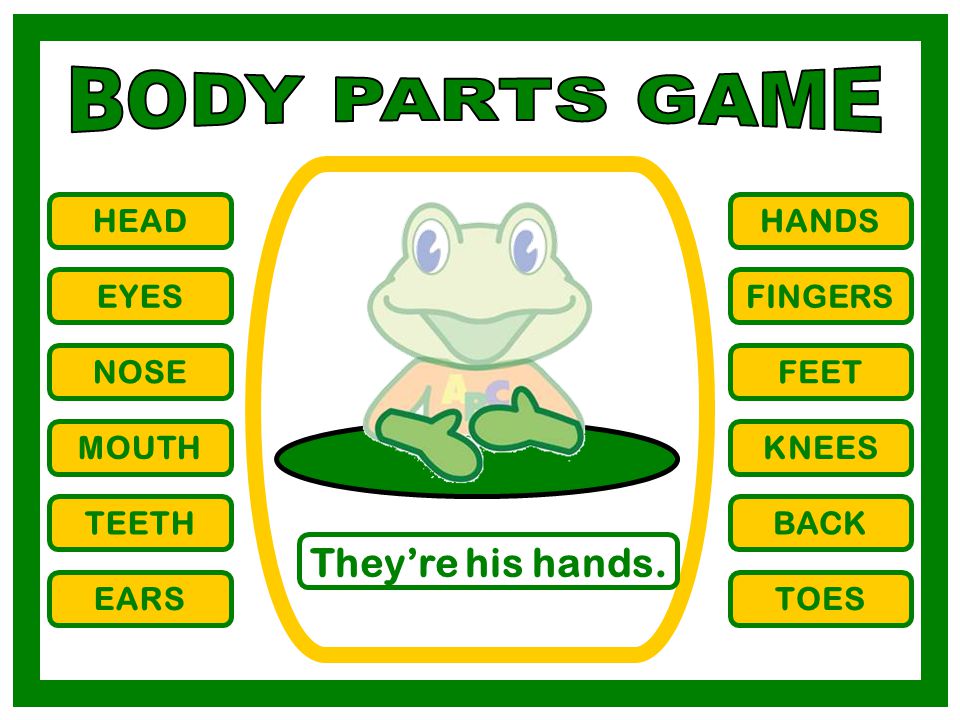 BODY PARTS GAME They’re his hands. HEAD HANDS EYES FINGERS NOSE FEET