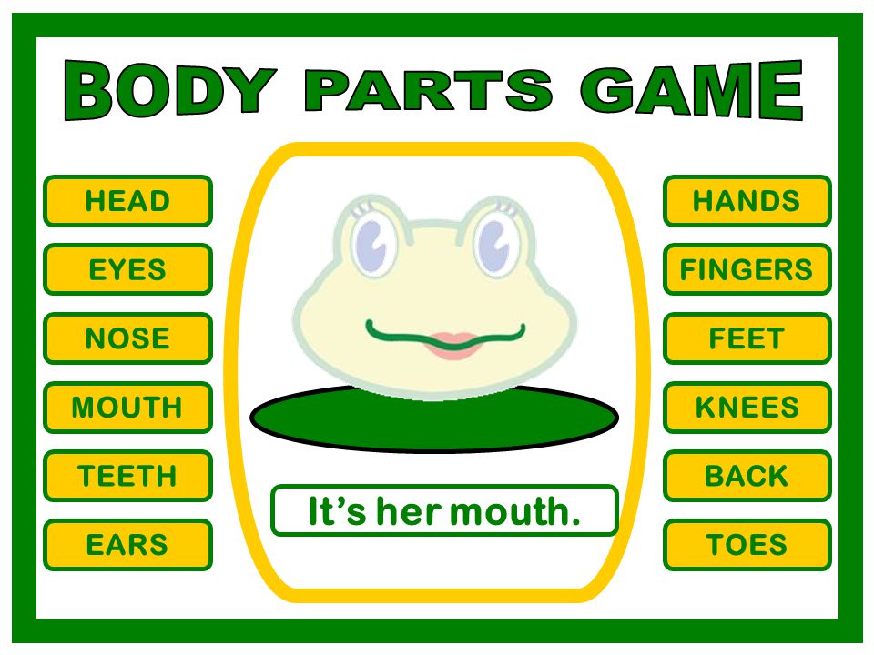 BODY PARTS GAME It’s her mouth. HEAD HANDS EYES FINGERS NOSE FEET