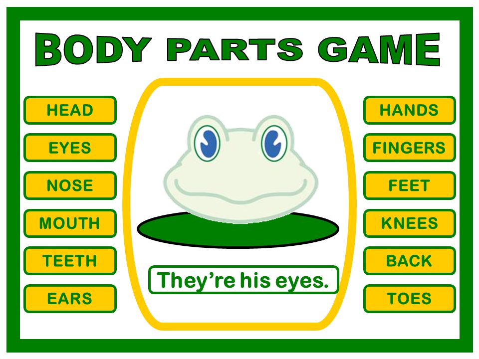 BODY PARTS GAME They’re his eyes. HEAD HANDS EYES FINGERS NOSE FEET