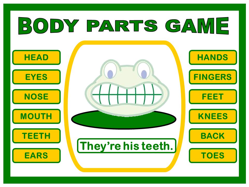 BODY PARTS GAME They’re his teeth. HEAD HANDS EYES FINGERS NOSE FEET