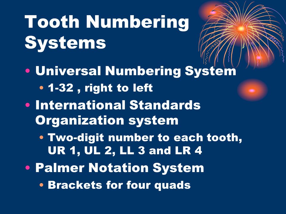 Tooth Numbering Systems
