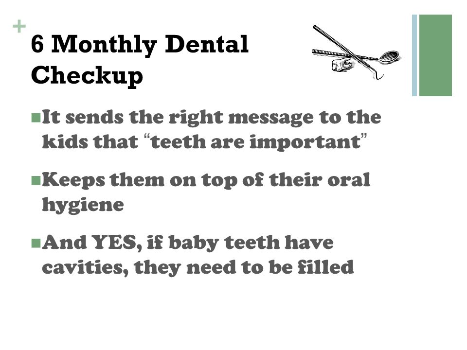 6 Monthly Dental Checkup