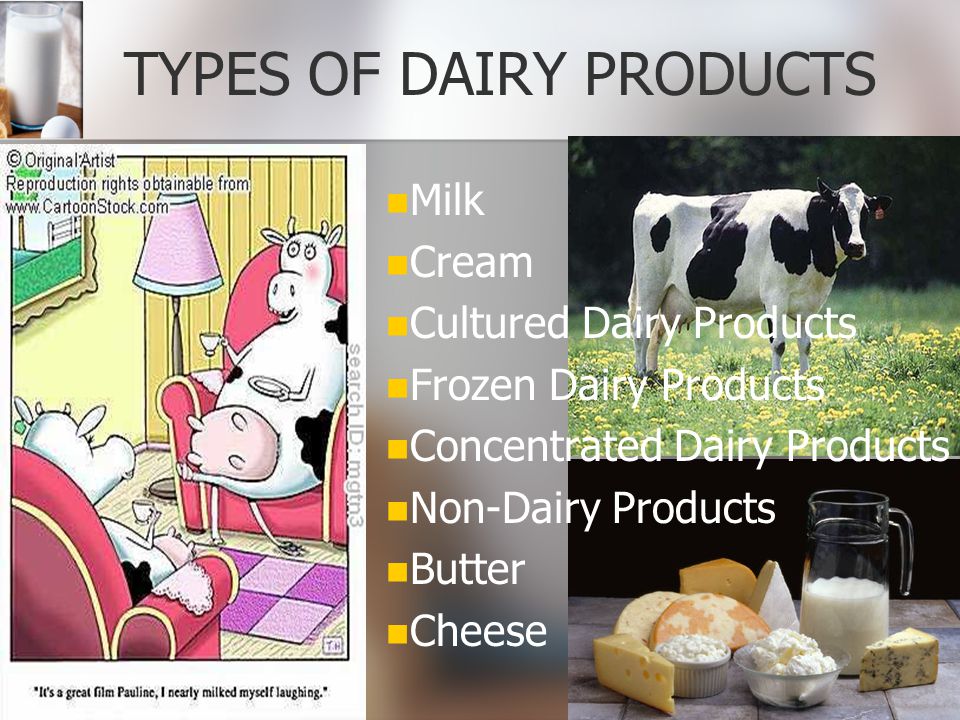 TYPES OF DAIRY PRODUCTS
