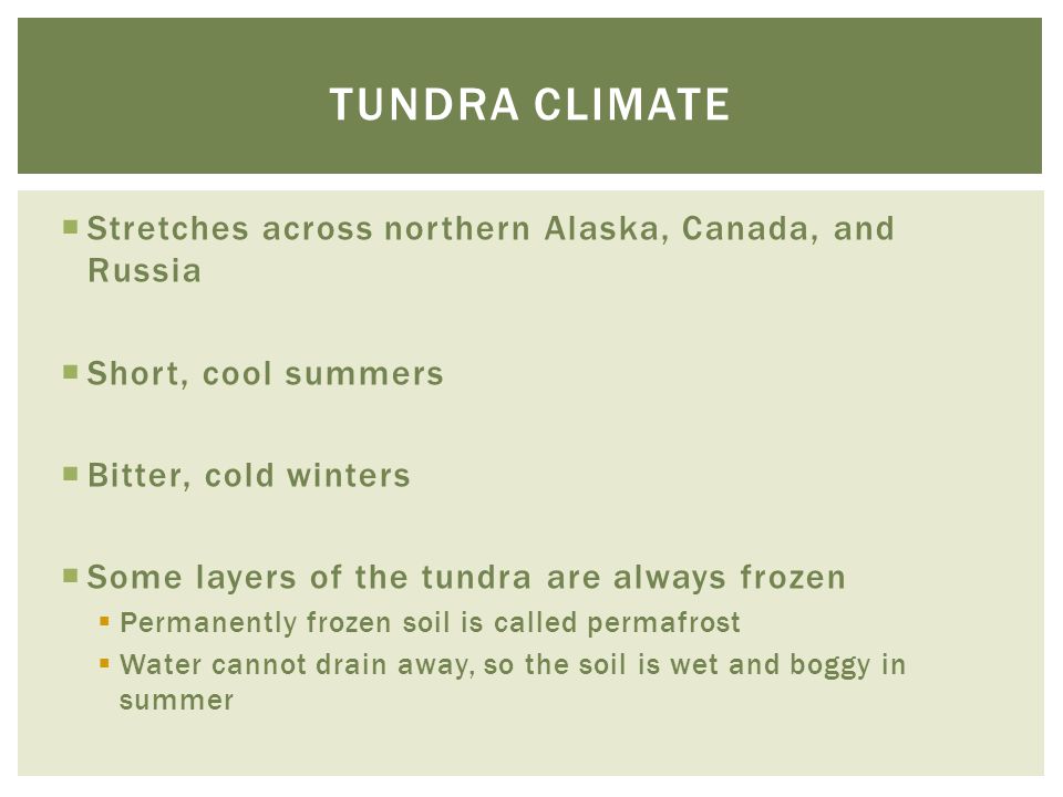 Tundra climate Stretches across northern Alaska, Canada, and Russia