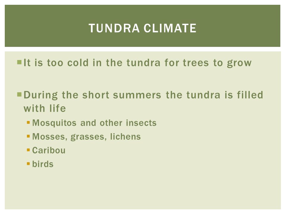 Tundra climate It is too cold in the tundra for trees to grow