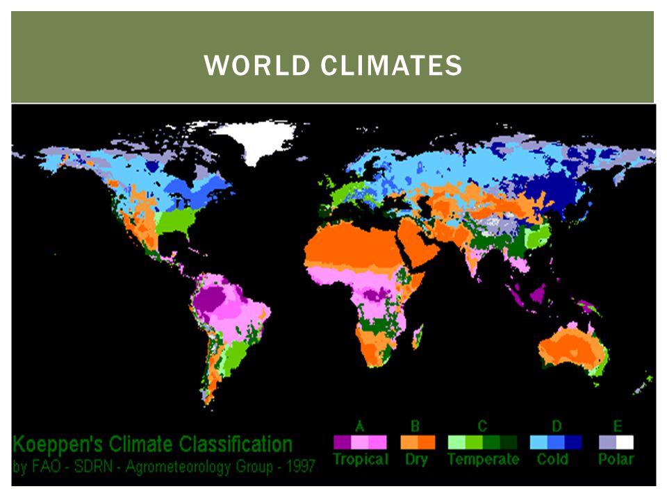 World Climates