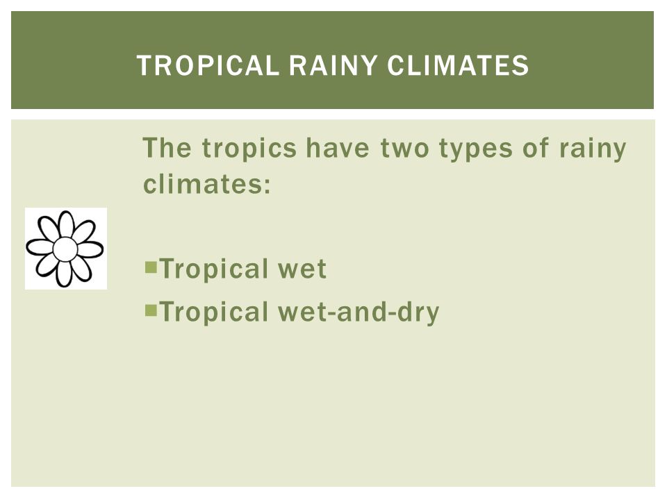Tropical rainy climates