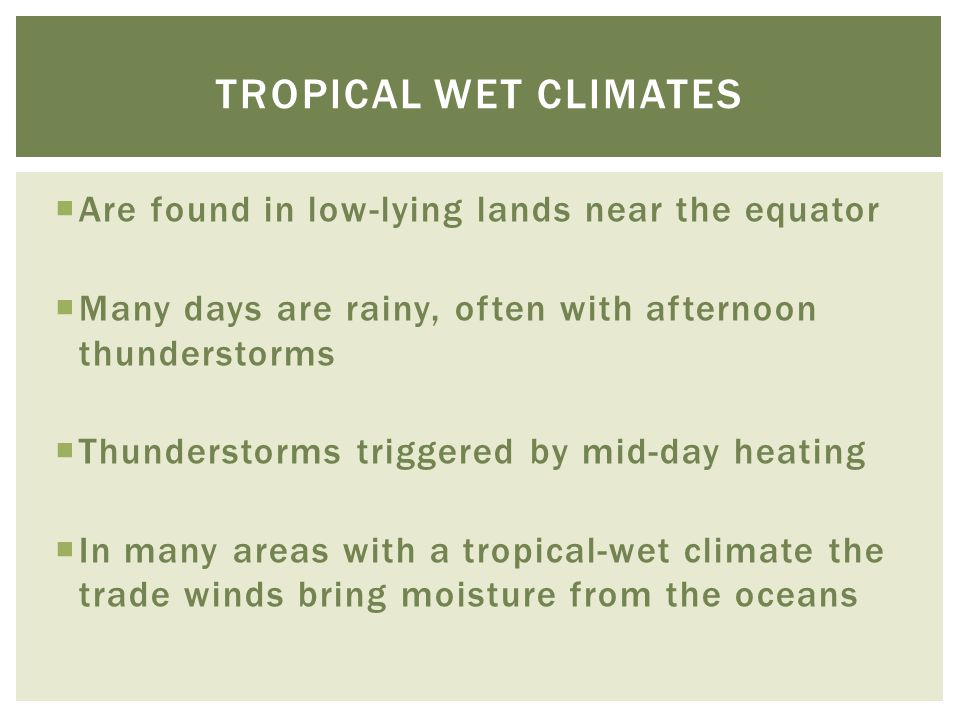 Tropical wet climates Are found in low-lying lands near the equator