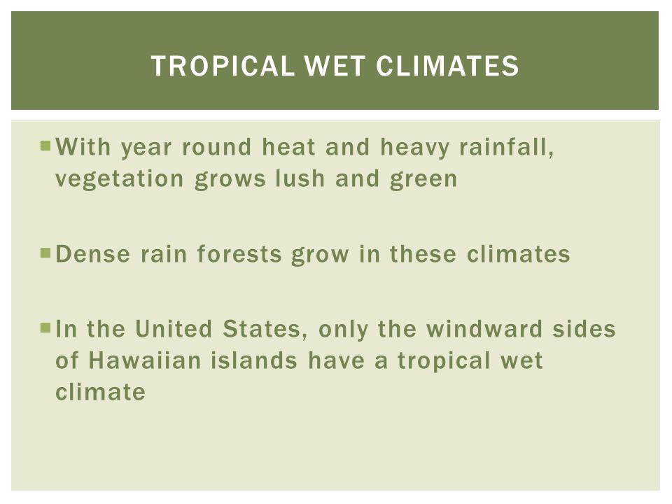 Tropical wet climates With year round heat and heavy rainfall, vegetation grows lush and green. Dense rain forests grow in these climates.