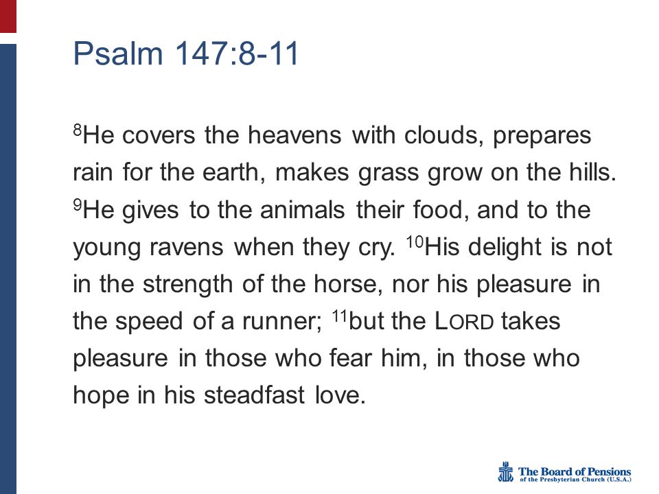 Psalm 147:8-11