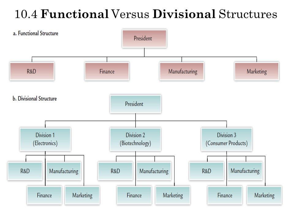 functional structure and divisional structure