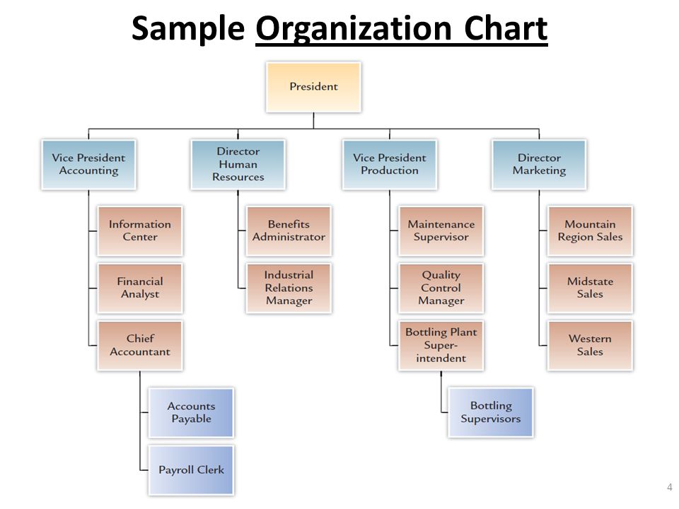 Where Does Customer Service Fit On The Org Chart