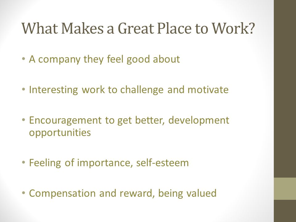 What Makes a Great Place to Work