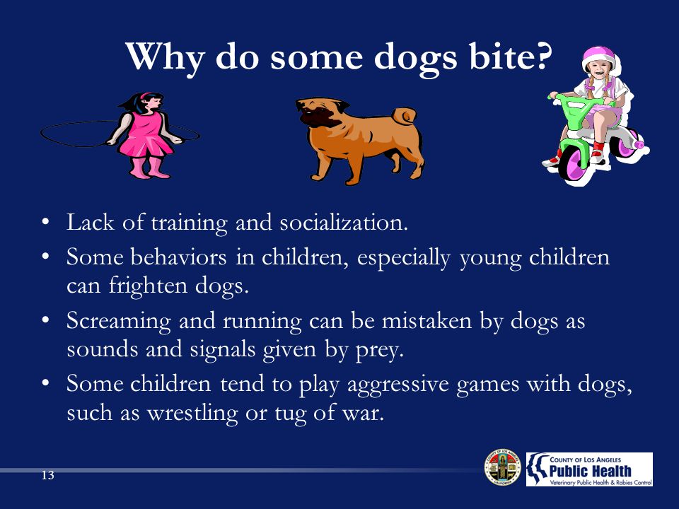 Veterinary Public Health and Rabies Control Dog Bite Prevention - ppt video  online download