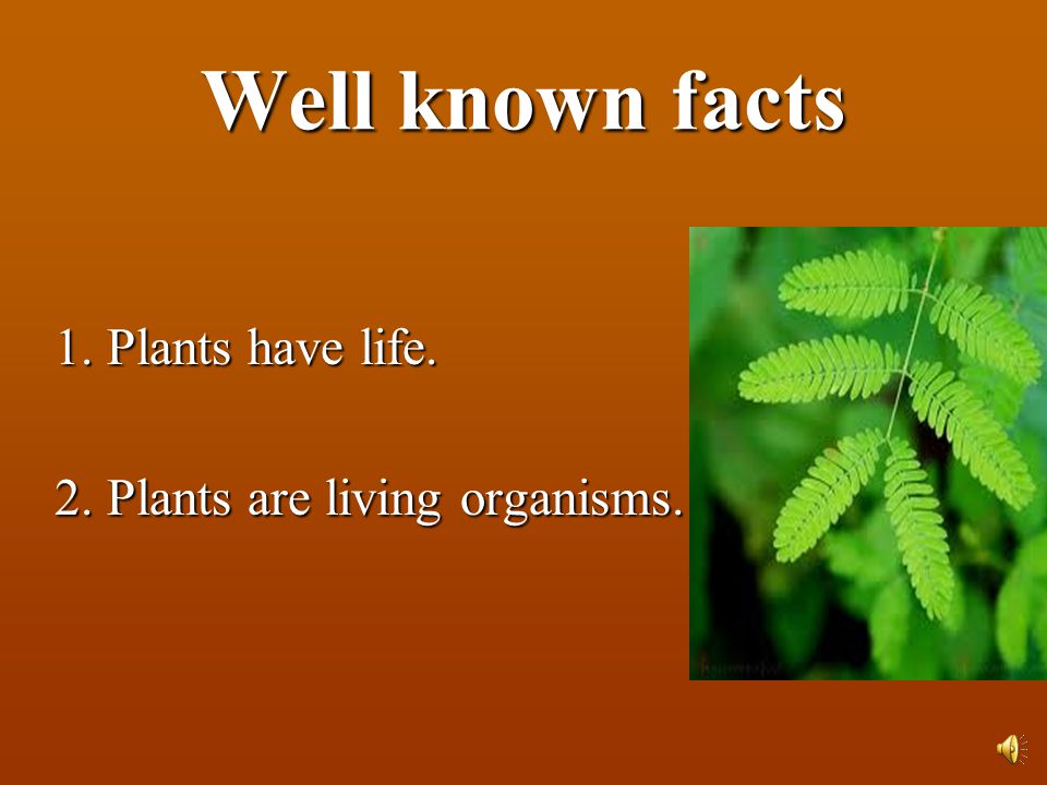 Plants also Breath and Feel - ppt video online download